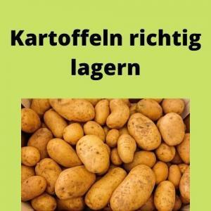 Kartoffeln richtig lagern