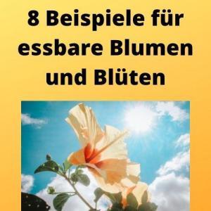 8 Beispiele für essbare Blumen und Blüten