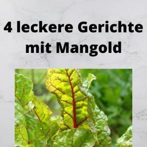 4 leckere Gerichte mit Mangold